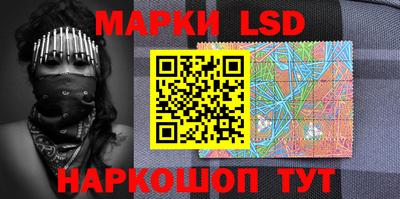 прущие грибы Будённовск