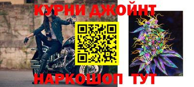 прущие грибы Будённовск