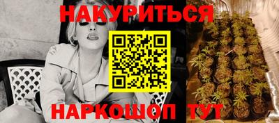 прущие грибы Будённовск