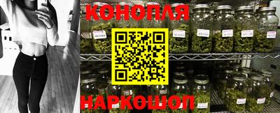 прущие грибы Будённовск