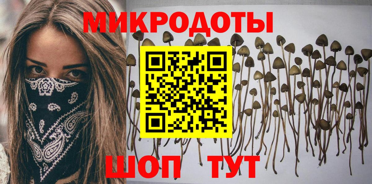 Псилоцибиновые грибы Cubensis  Галлюциногенные грибы ЛСД  Вход с VPN  Новодвинск 