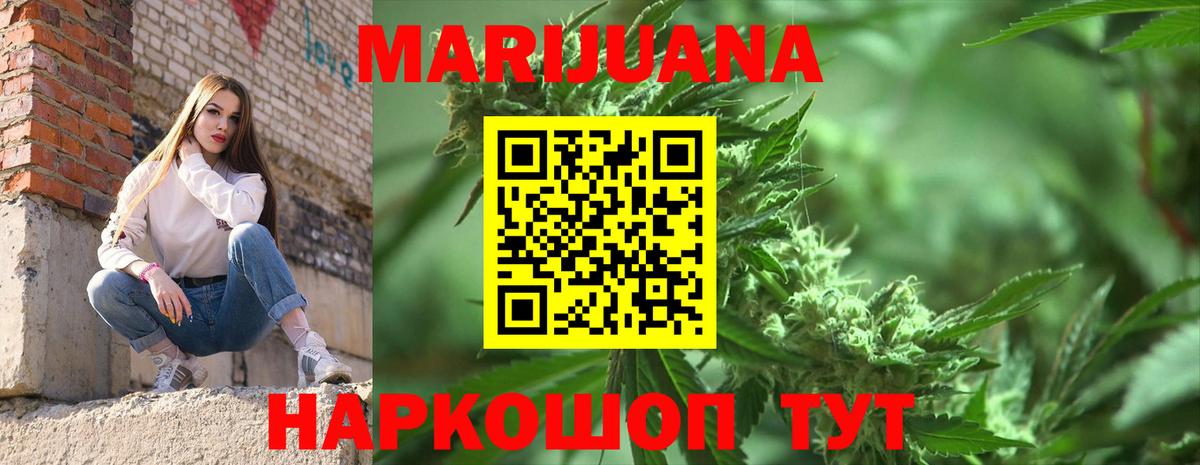 Бошки Шишки семена Новодвинск